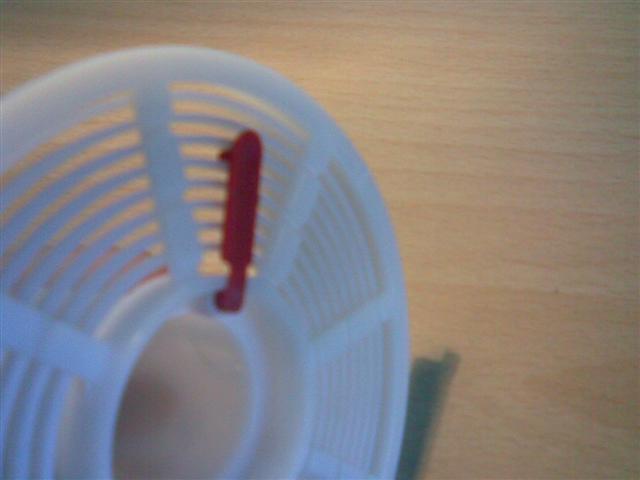 Immag005 (Small).jpg