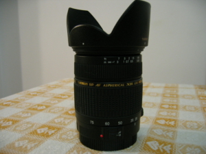 Immagine_006.jpg