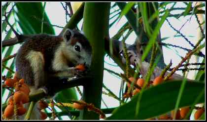 immagine_021 mod.jpg