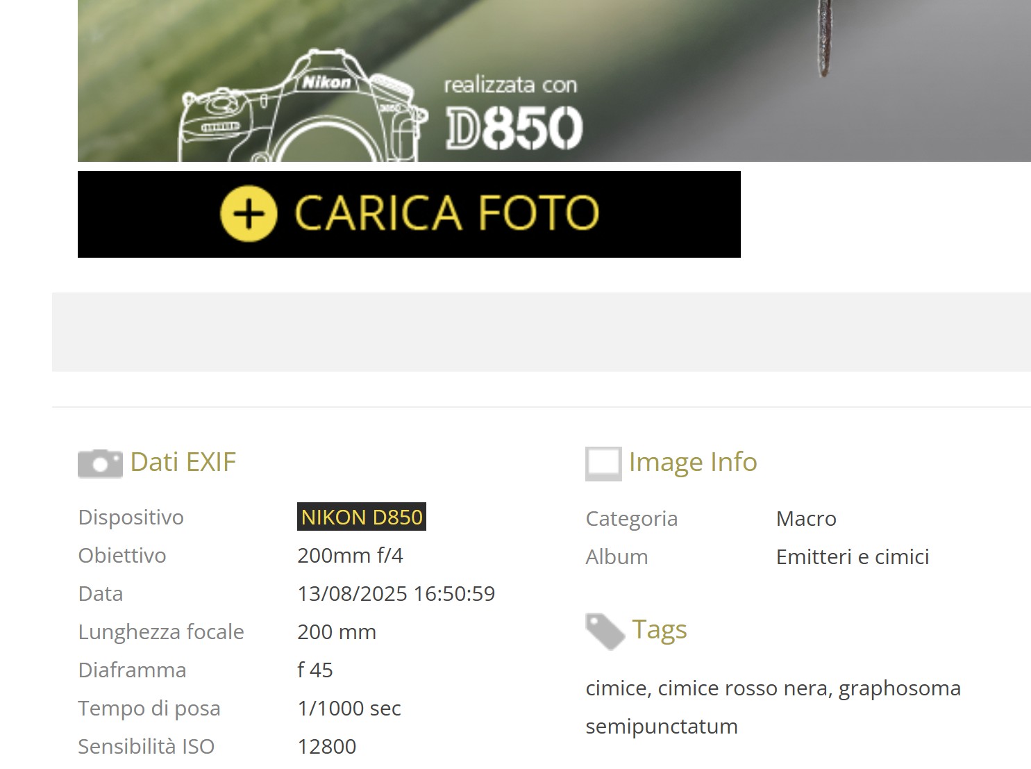 Immagine 2025-09-15 080704.jpg