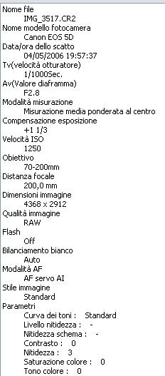 Immagine.JPG