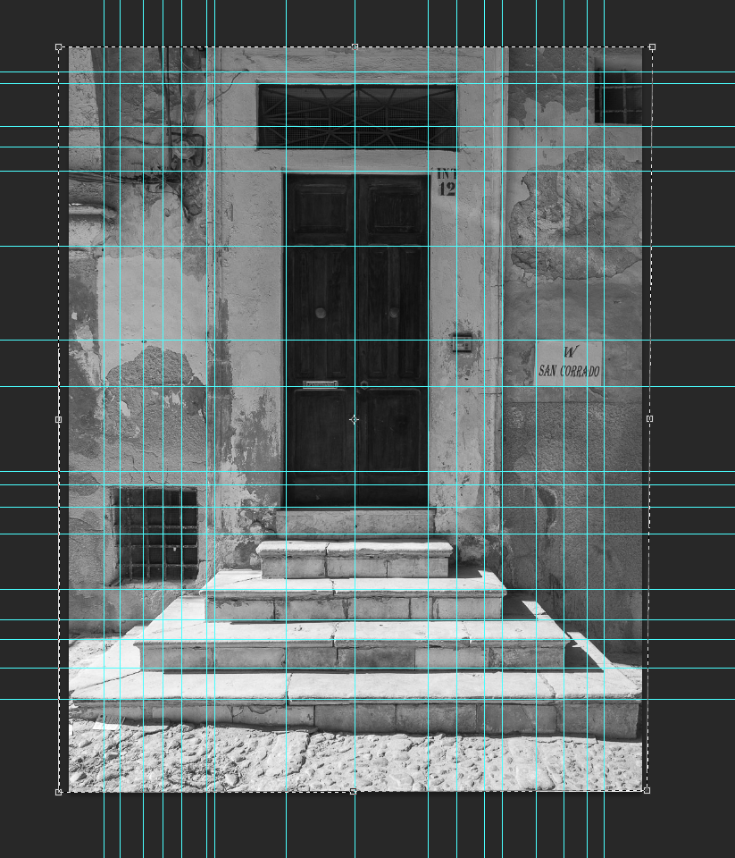 Immagine.png