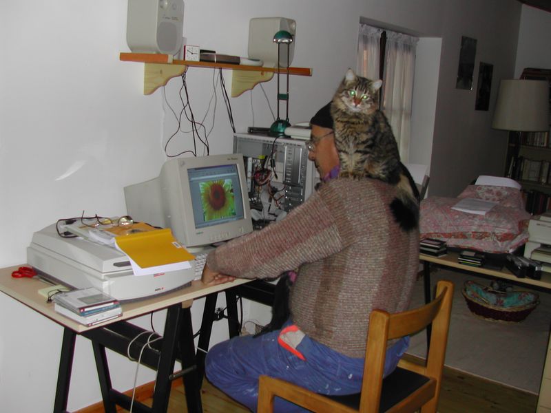 IO_E_MICIA_5.JPG