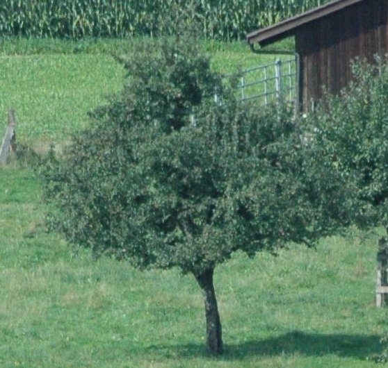 iso640.JPG