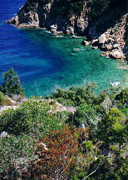 isola-d-elba5.jpg