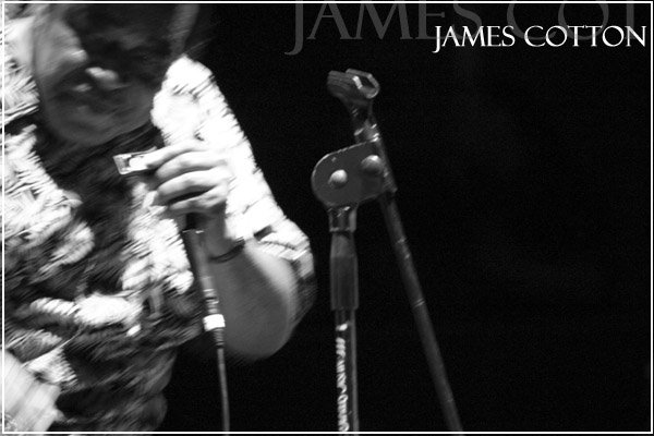 JamesCotton (5)_picc.jpg