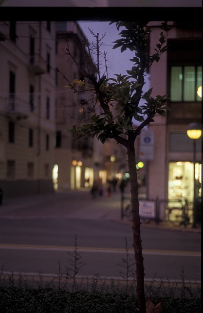 Kodak Elitechrome 100 - 30 - Prova ridimensionata.jpg