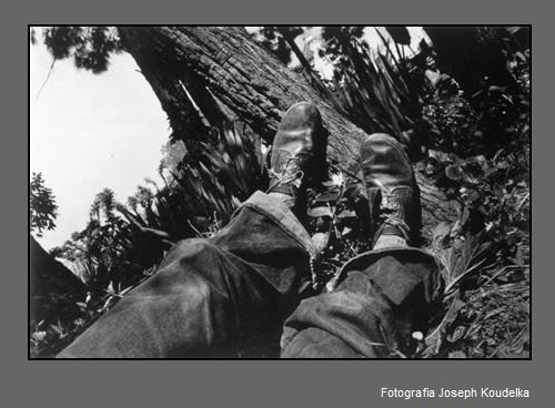 koudelka 1.JPG