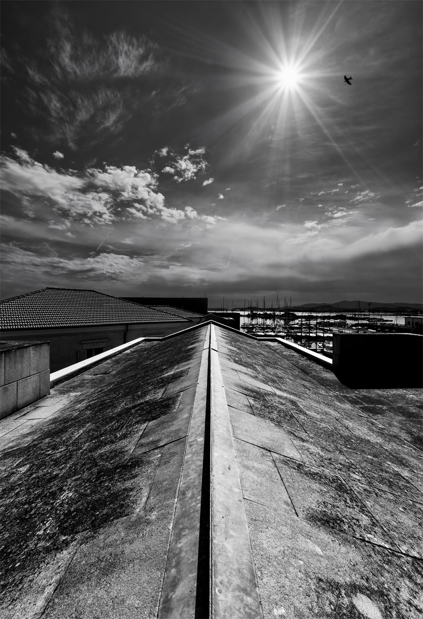 KP0_7566_DxO_2_rid.jpg