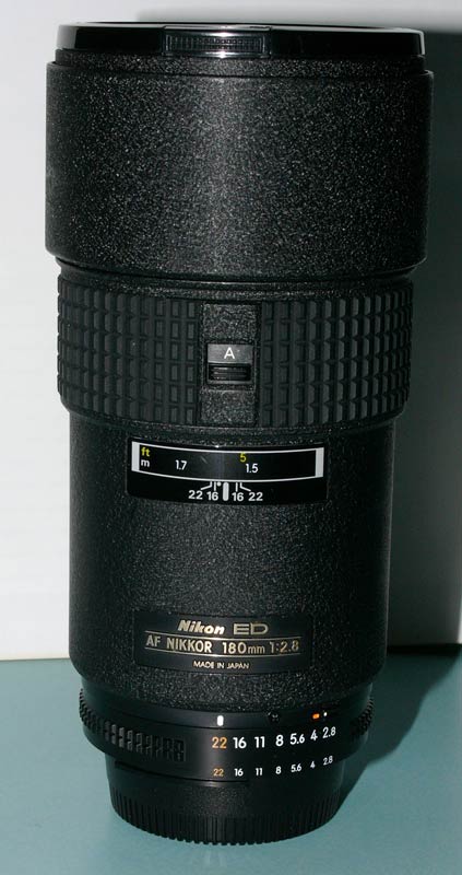 L1000398.jpg