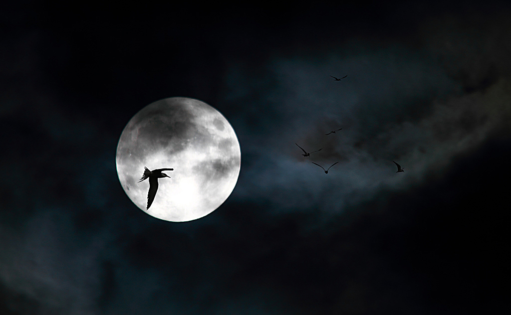 la-luce-della-luna.jpg