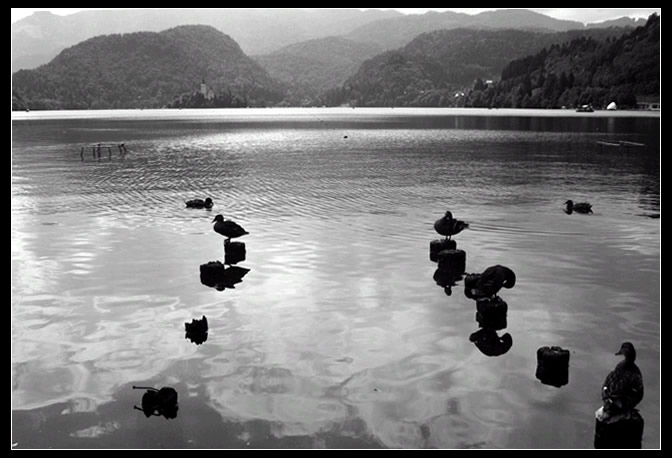 lake.jpg