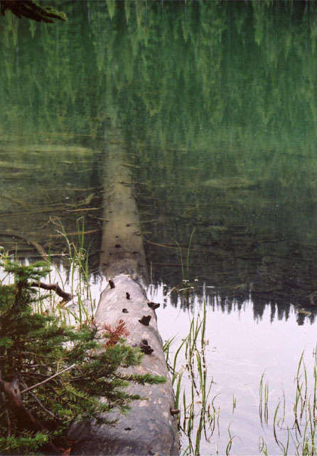 lake1.jpg