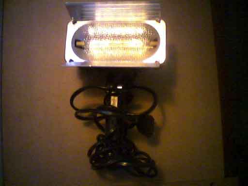 Lampada_fronte.jpg