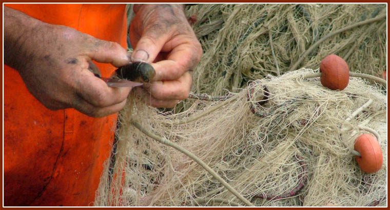 Le Mani Del Pescatore.jpg