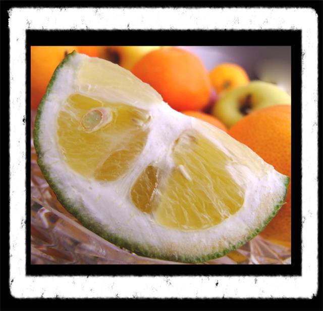 LEMON (Small).jpg