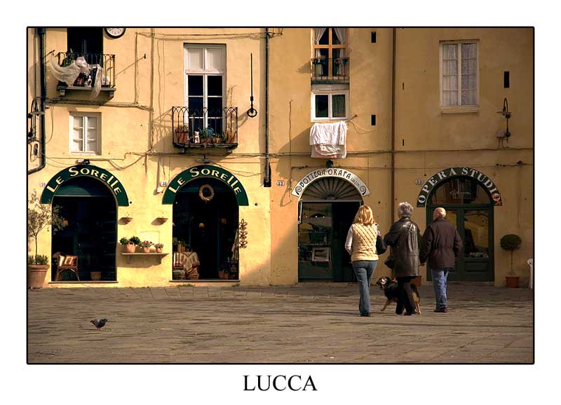 LUCCA_02.jpg