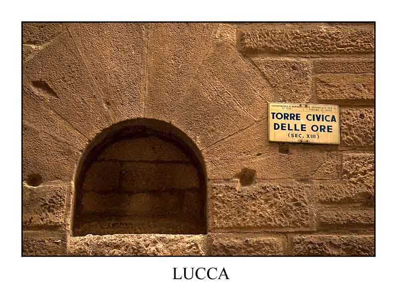 LUCCA_04.jpg