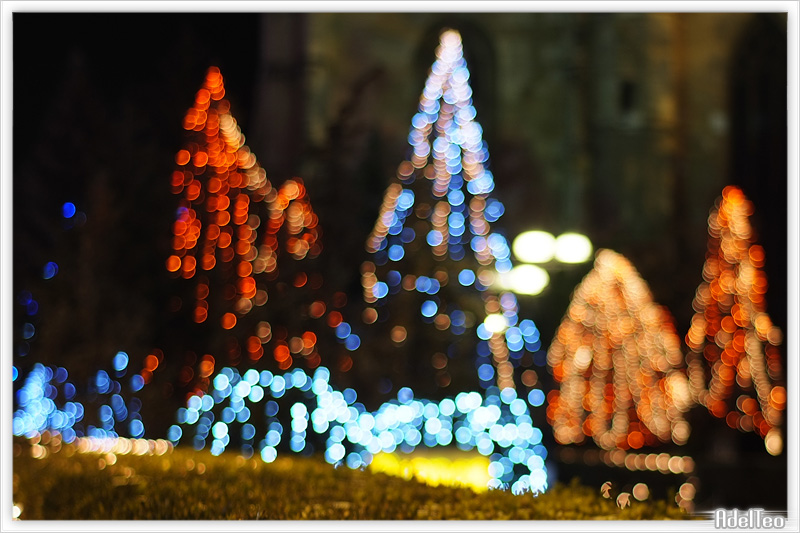 Luci notturne 09_1.jpg