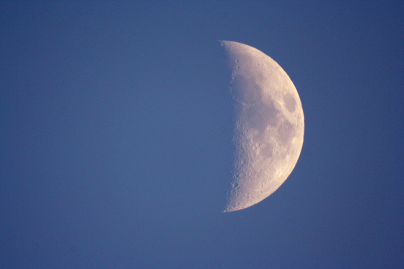 luna-1000-2.jpg
