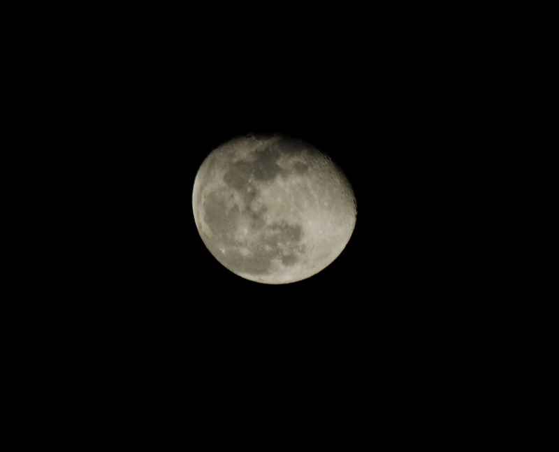 luna01.jpg