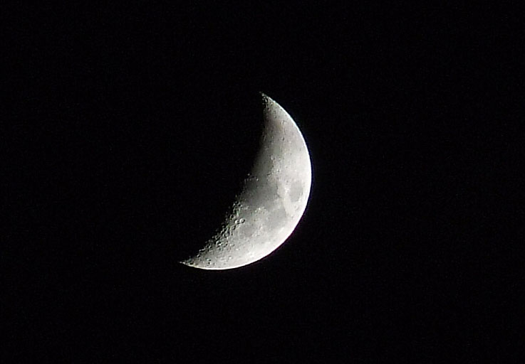 luna1.jpg