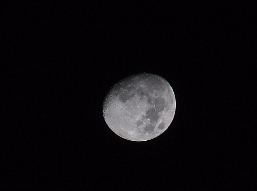 Luna.jpg