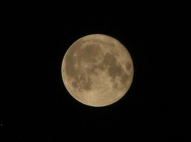 luna.JPG