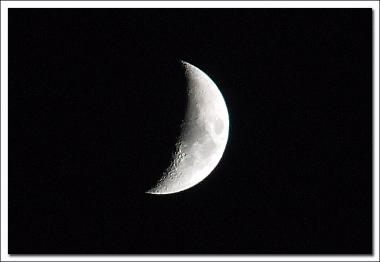 luna.jpg