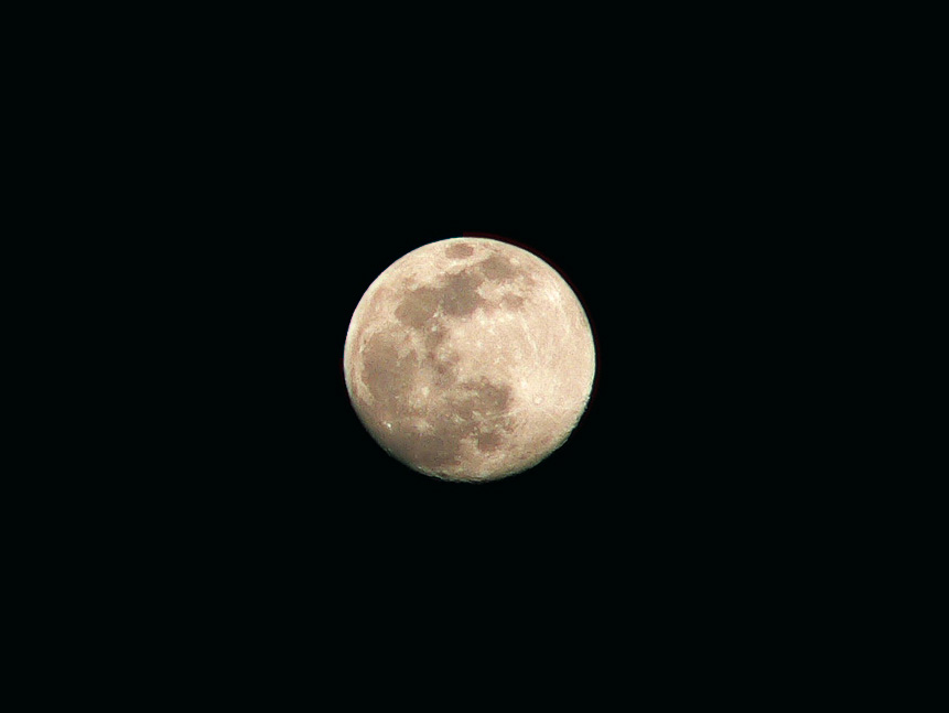 luna.jpg