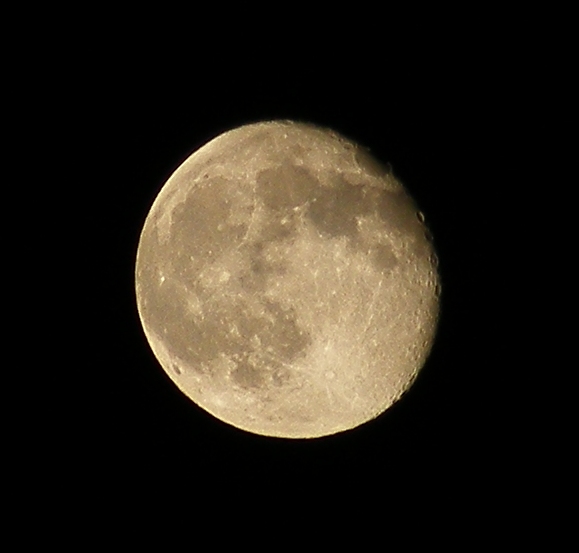 luna crop.JPG
