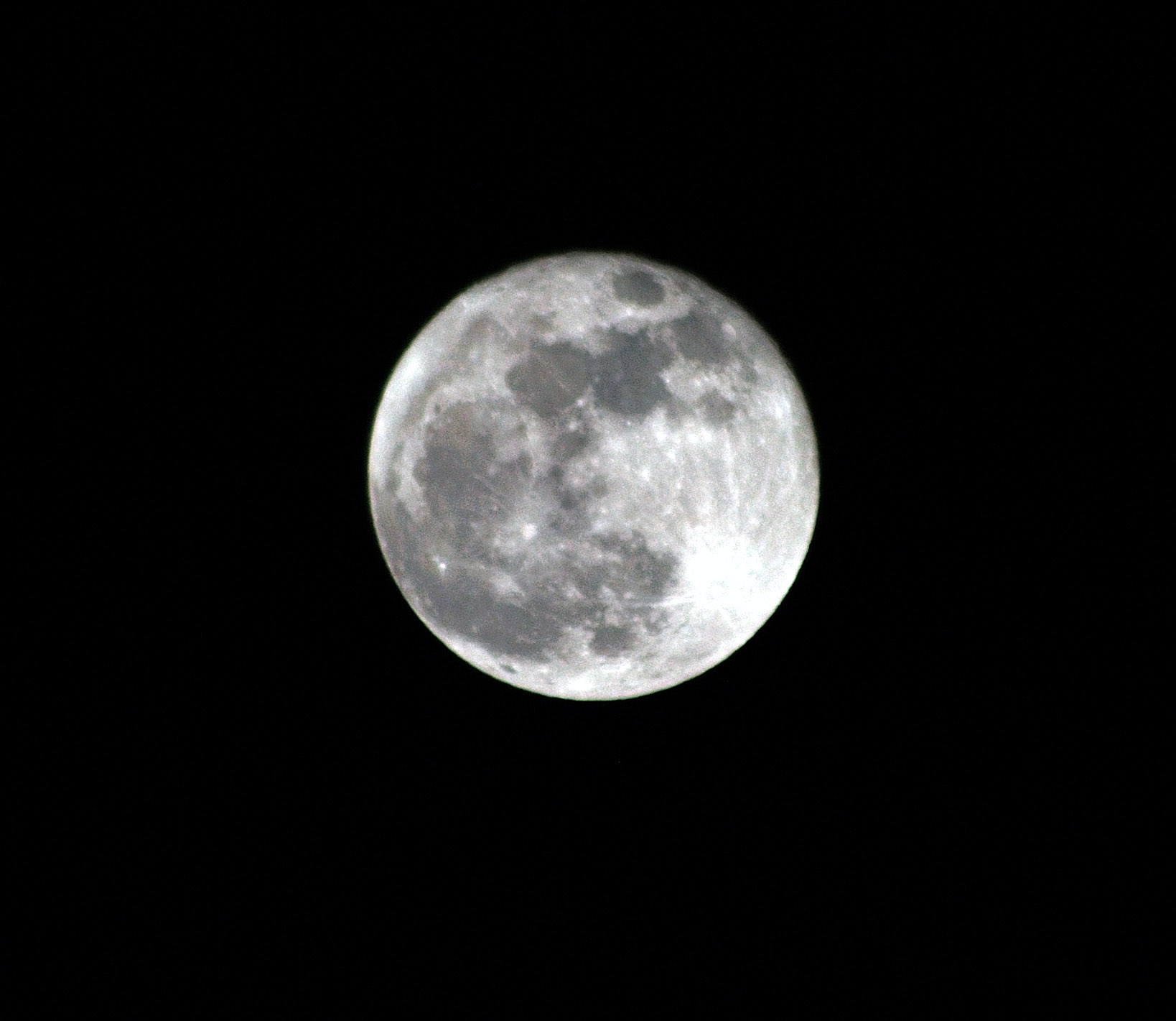 Luna Crop I.jpg