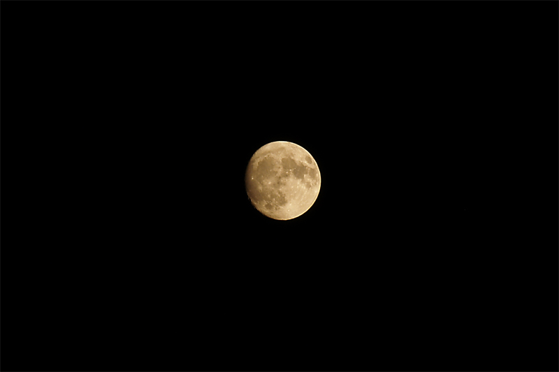 lunae300.jpg