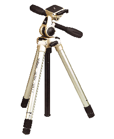 Luxi-F.gif