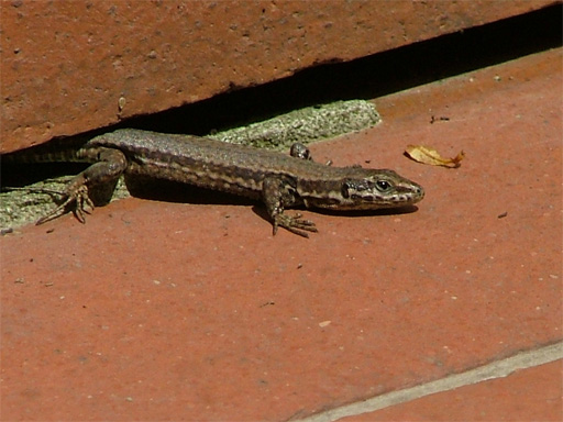 macro0007-WEB.jpg