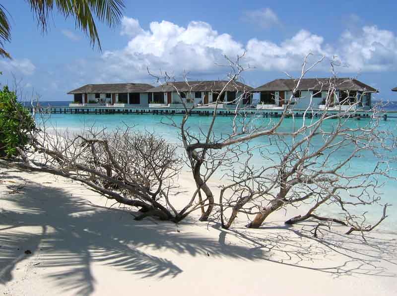 maldive1.jpg