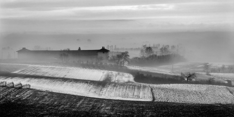 Mare di nebbia b-n - inverno 2008.jpg