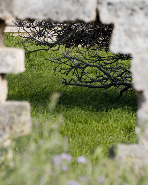 Marina di Ostuni 03.jpg