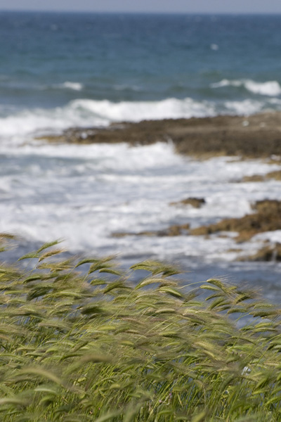 Marina di Ostuni 05.jpg