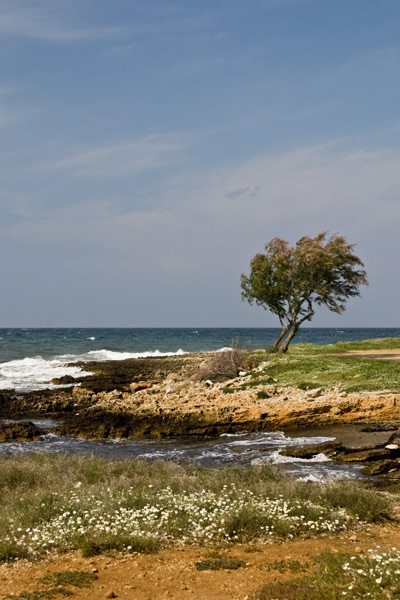 Marina di Ostuni 06.jpg