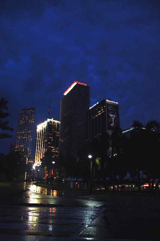 miami 2.jpg