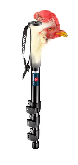 monopiede stabilizzato.jpg