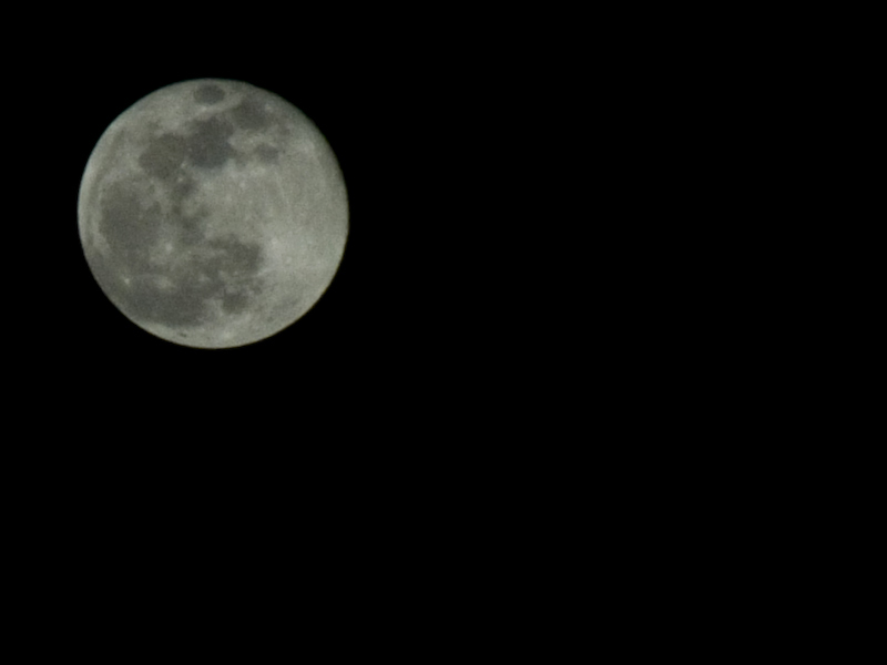 moon.jpg
