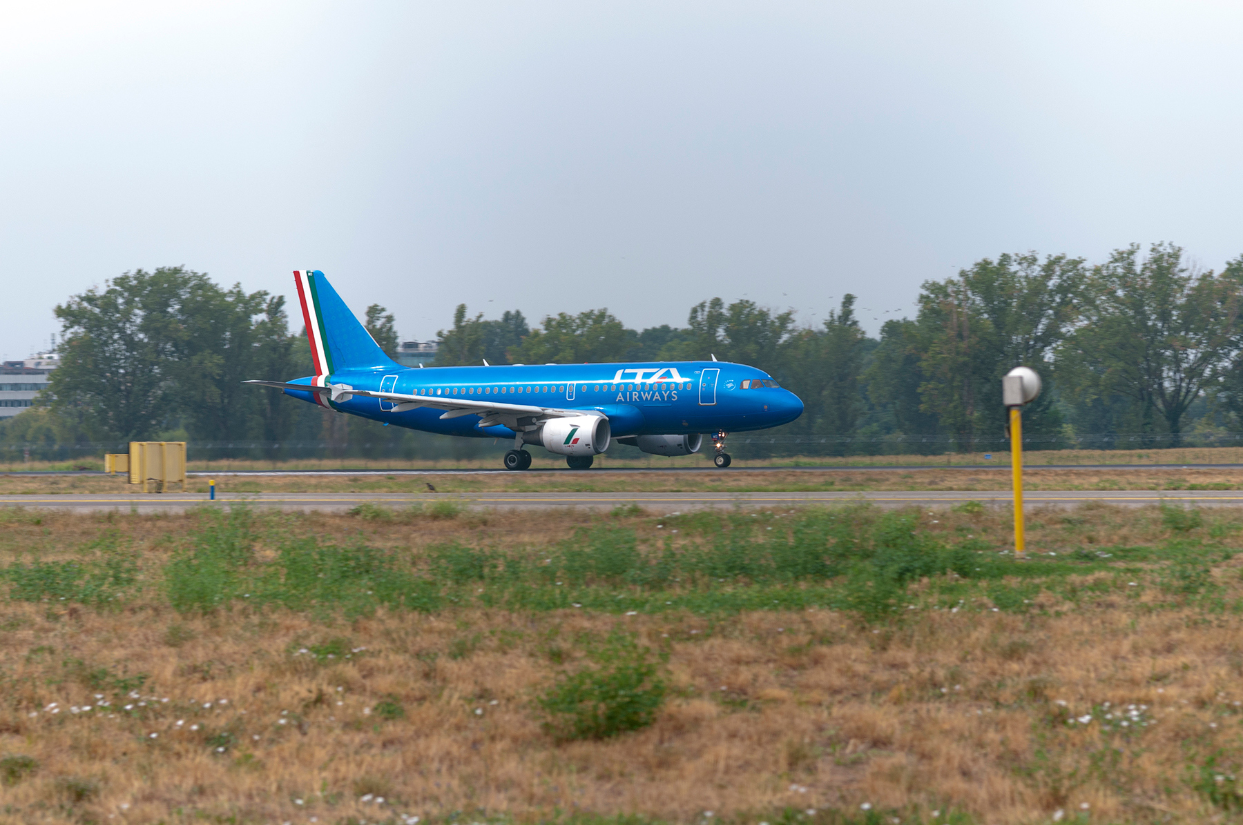 MRC_5650.jpg