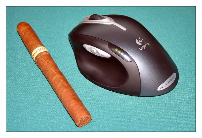 mx1000.jpg