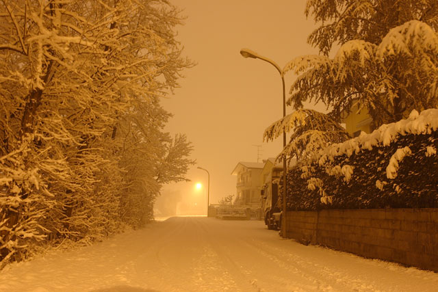 n0.jpg