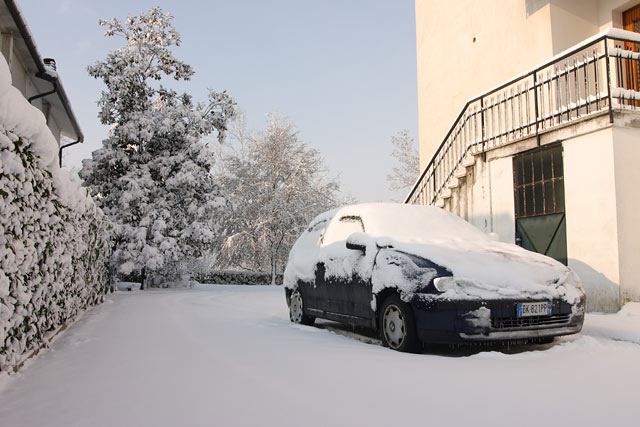 n1.jpg