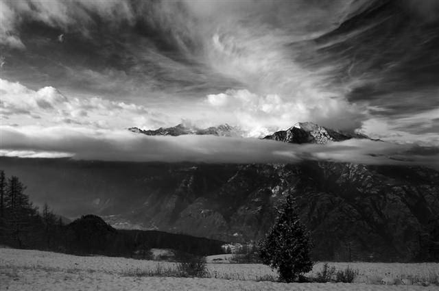 natale 2005 1bn (Small).jpg