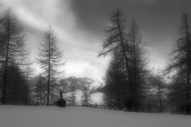 natale 2005 21 (Small).jpg