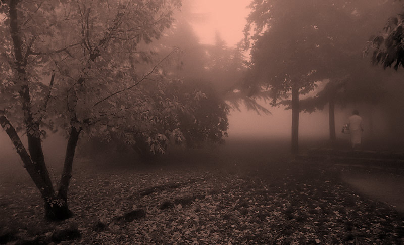 nebbia-seppia-1.jpg